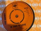 THE BAMBIS IF THIS IS LOVE / BABY BLUE UK CBS 45 7