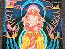 Hawkwind Space Ritual Double Vinyl LP Gatefold Sleeve