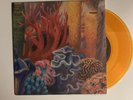 ￼ Rival Sons - Thundering Voices 7