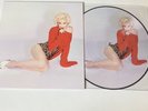 Madonna Rebel Heart Picture Disc Vinyl
