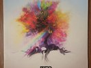 ZEDD True Colors 2015 2 LPs Interscope Records Pre Owned Vinyl Record