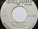 45 REGGAE / JOHNNY OSBOURNE & WILD CATS / ALL I HAVE IS LOVE / COXSONE / LISTEN