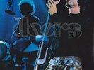 The Doors ‎: Absolutely Live  (2 lp . vinyl. 2010 )