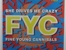 FINE YOUNG CANNIBALS She Drives Me Crazy I.R.S. 12