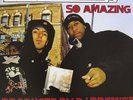 Termanology - So Amazing / Low IQ (12