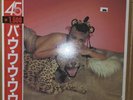 Bow Wow Wow - Teenage Queen  SEALED w/Obi