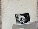 FLEETWOOD MAC “Tusk” Double Vinyl LPs’s 1979 WB 2HS 3350 w/4 Original Inners VG+