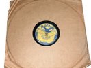 Delmore Brothers Brown’s Ferry Blues Allen Bros Salty Dog VG+ BLUEBIRD 5403