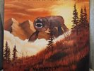 Weezer - Everything Will Be Alright in the End (Vinyl Record)  LP