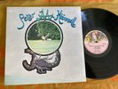 Peter Hammill Chameleon In The Shadow Of The Night NM Original UK vinyl