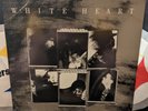 RARE  WHITE HEART   FREEDOM   1989 CHRISTIAN ROCK SPARROW LP SPR1194   EX/VG+