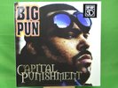 Big Pun Capital Punishment (Vinyl) 12
