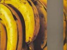 Between 10th And ... Charlatans (UK) UK vinyl LP  record