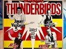 The Fabulous Thunderbirds - Girls Go Wild Vinyl Record SEALED • Jimmie Vaughan