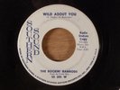The Rockin' Ramrods  Wild About You/Cry In My Room  Promo  Garage