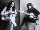 Courtney Barnett And Kurt Vile - Lotta Sea Lice YELLOW VINYL 2017 MILK026 LP NM