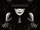 The Dead Weather - Horehound VINYL 2009 TMR-008 JACK WHITE THIRD MAN LP