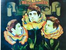 BEAU BRUMMELS – TRIANGLE – US – LP – 1967 – PSYCH/FOLK