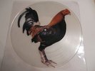 King Kurt / Big Cock /  Rare Transparent Vinyl  Picture Disc