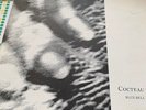 Cocteau Twins, Blue Bell Knoll vinyl LP, 1988 4AD Testing Pressing (Very Good)