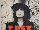 T. Rex - The Slider Vinyl LP - 1972 First Press - Reprise MS 2095