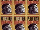 peter tosh - Equal Rights (THE VINYL MUSIC STORE)