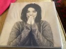 BJORK - DEBUT - FIRST PRESS OWNED AND LOOKED AFTER SINCE NEW