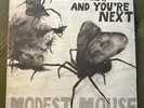 Modest Mouse - No One's First and You're Next [New Vinyl LP] 180 Gram, Download