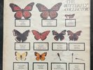 THE JAM BUTTERFLY COLLECTOR DOUBLE ALBUM