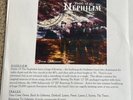 Fields Of The Nephilim Vinyl LP - From Gehenna To Here  - White Label Test Press