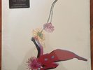 Future Islands - The Far Field - White Color Vinyl Record