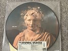 The Offspring - Splinter - Vinyl LP Die Cut Picture Disc RSD 2024 - NEW