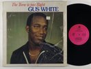 Gus White 