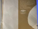 This Will Destroy You- Young Mountain 