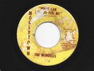 SWEET SOUL  45 - MANDELLS - WHAT CAN YOU DO FOR ME - HEAR - 1965 MONEYTOWN