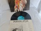 Burning Spear – Hail H.I.M. 1980 orig Lp Roots Reggae Dub EX a1u/b1u