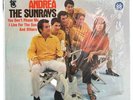The Sunrays - Andrea (EX/VG+) Vinyl LP Tower ST-5017 STEREO LOS ANGELES PRESS