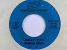 Ultra-Rare Dark Wave Synth 45 DORIAN GREY Lonely Pride/St. John's River HEAR