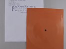 THE DOORS Maggie M'Gill / SONNY & CHER A Cowboys Work Is Never Done FLEXI DISC