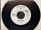 GRATEFUL DEAD - SUGAR MAGNOLIA / MR. CHARLIE, WB 766, PROMO 45 RPM, 1972, NM
