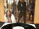 MOTT THE HOOPLE - Wildlife  Vinyl LP 1971 Featuring Whiskey Women Island Records
