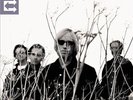 Tom Petty & Heartbreakers Echo (2 Lp's) Records & LPs New