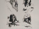 led zeppelin the complete bbc sessions on Vinyl