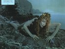 [NEW] Roxy Music- Siren (Half Speed Master) 12