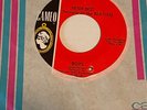 VINTAGE ORIGINAL PETE BEST FORMERLY OF THE BEATLES RARE  CAMEO GARAGE 45  BOYS