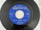 Robin Luke “Chicka Chicka Honey” Vinyl 45 Bertram Int Records VG Condition