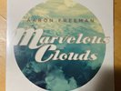 Aaron Freeman - Marvelous Clouds - Vinyl LP - Gene Ween