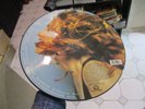 MADONNA    original promo picture disc ray of light