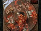 Cannibal Corpse Torture 2014 RSD picture disc Vinyl Record LP Metal Limited