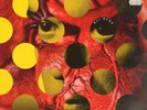 David Byrne Rei Momo Luaka Bop Vinyl LP